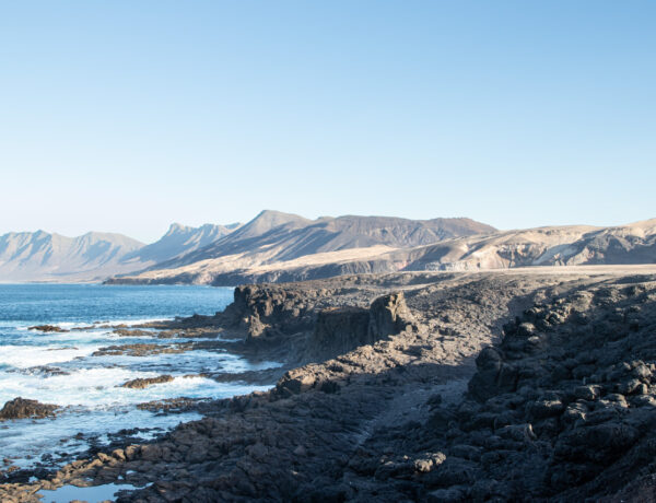 Zeitgeist-Living-Fuerteventura-and-nature-love