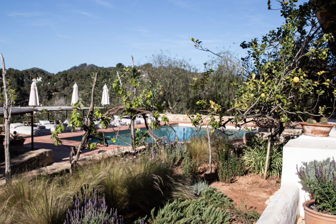 Idyllische Agrotourismus Finca Aguamadera auf Ibiza mit Blick auf den Pool, umgeben von üppiger mediterraner Natur und Zitronenbäumen – perfekter Ort für Agrotourismus und Wellbeing