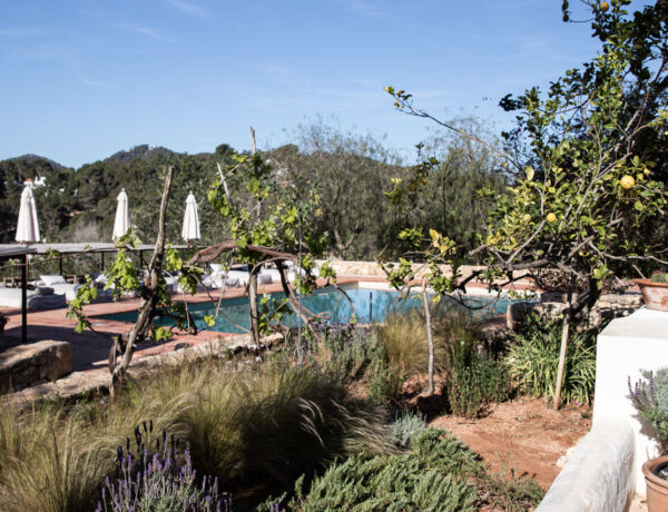 Idyllische Agrotourismus Finca Aguamadera auf Ibiza mit Blick auf den Pool, umgeben von üppiger mediterraner Natur und Zitronenbäumen – perfekter Ort für Agrotourismus und Wellbeing