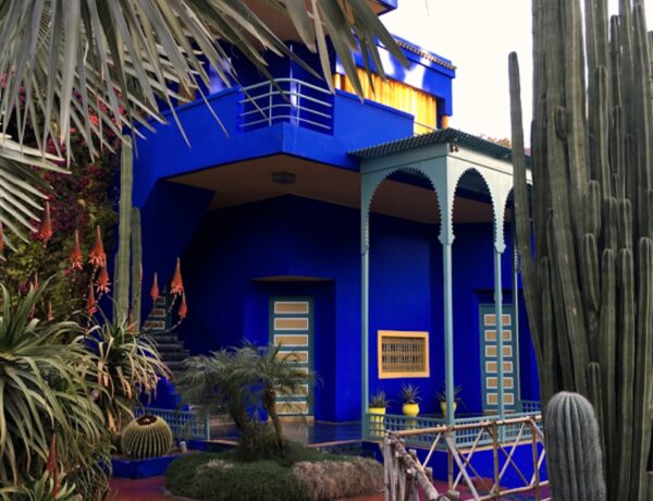 Palmen, Kakteen und blaues Haus im Jardin Majorelle in Marrakesch 2016