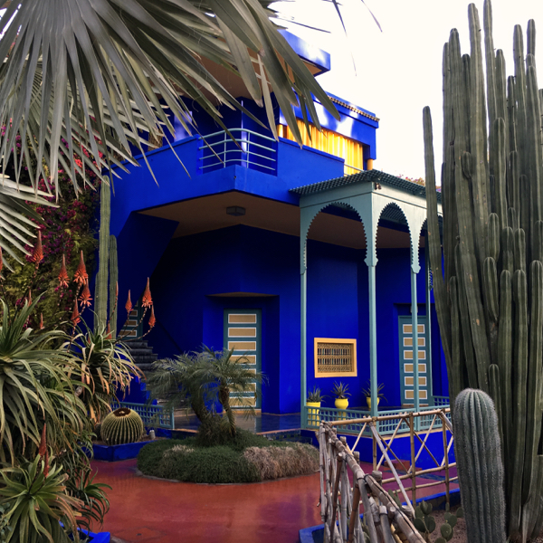Palmen, Kakteen und blaues Haus im Jardin Majorelle in Marrakesch 2016
