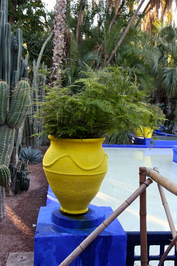 Gelbe Vase auf blauem Geländer im Jardin Majorelle in Marrakesch 2016
